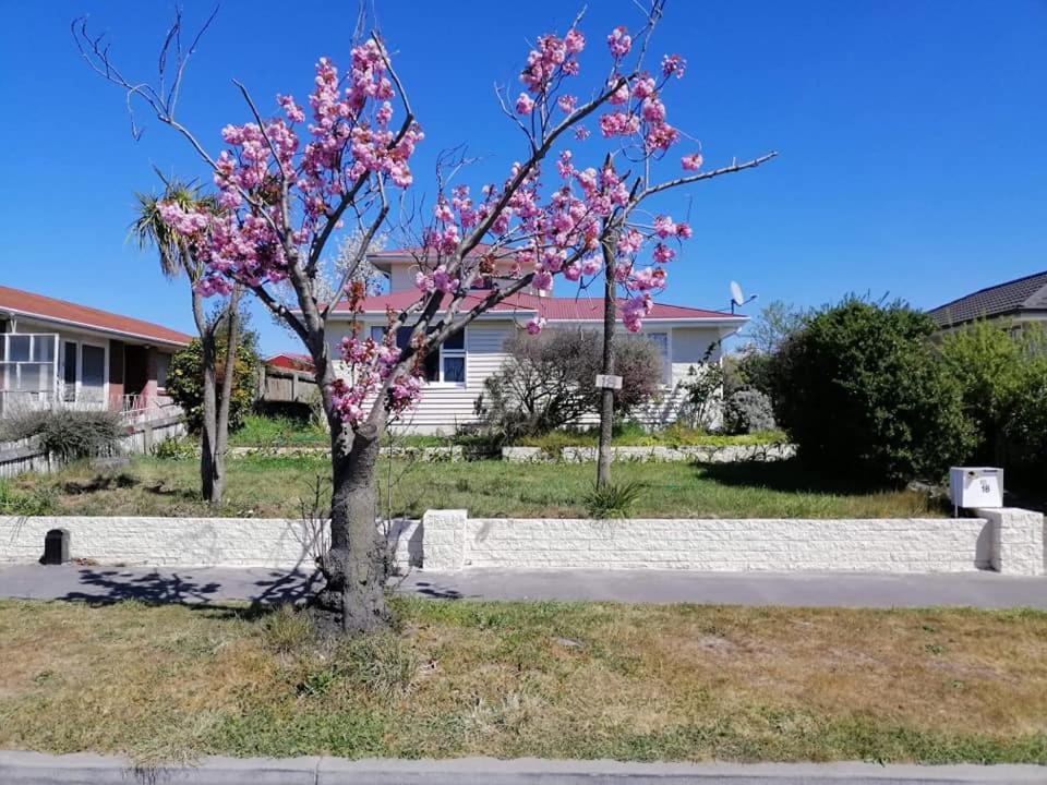 Homestay Family Room, Near The City Center كريستتشيرش المظهر الخارجي الصورة